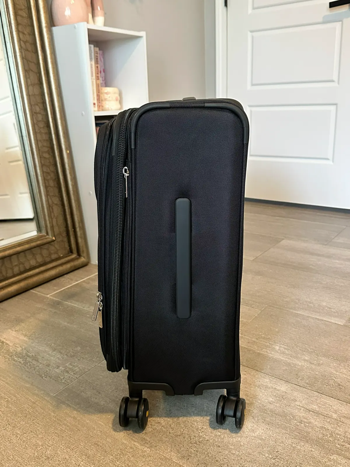 Capture Carry-On luggage from Level 8 from the side