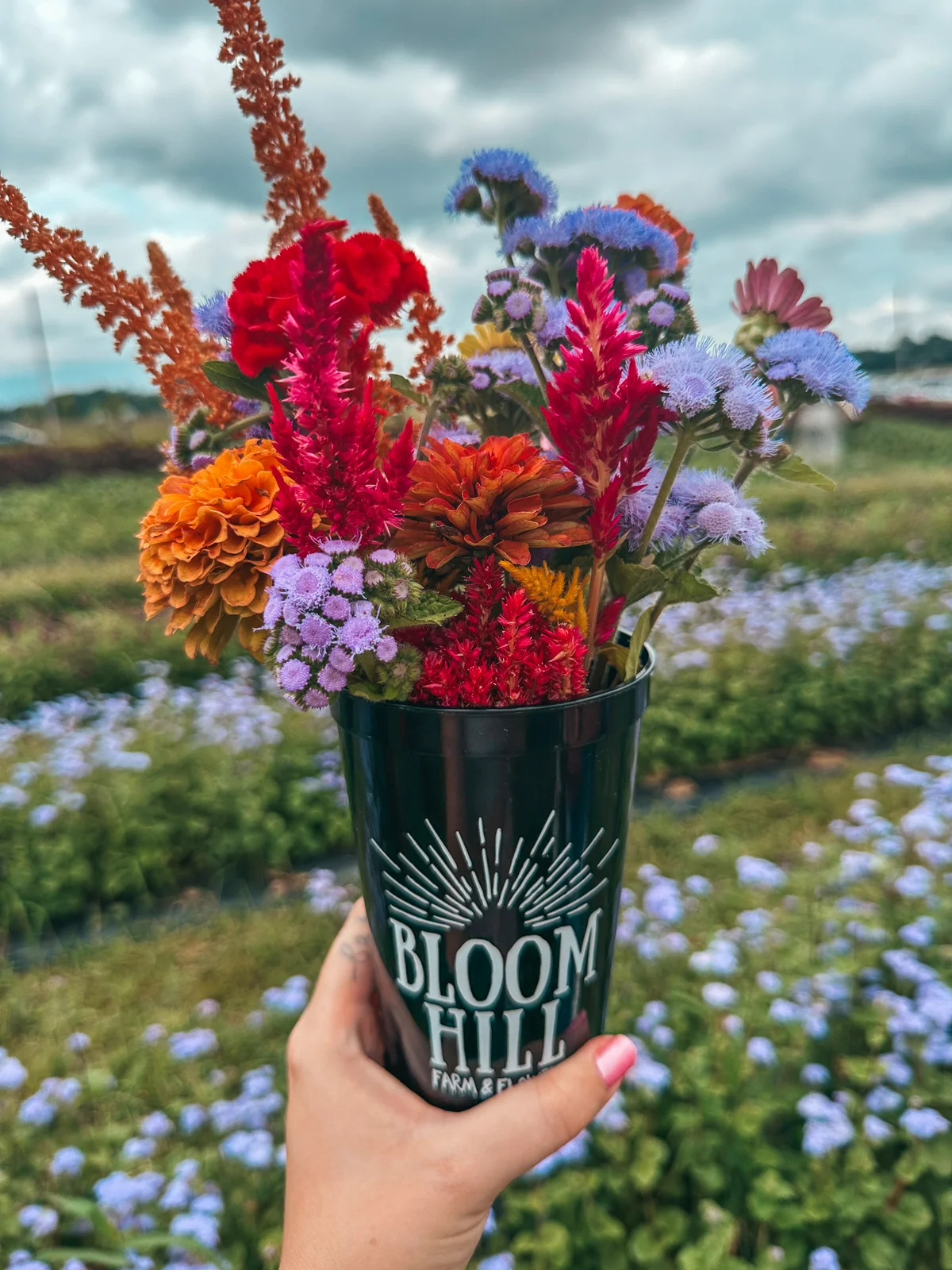 Fresh picked flowers from Bloom Hill Farm near Canton Ohio