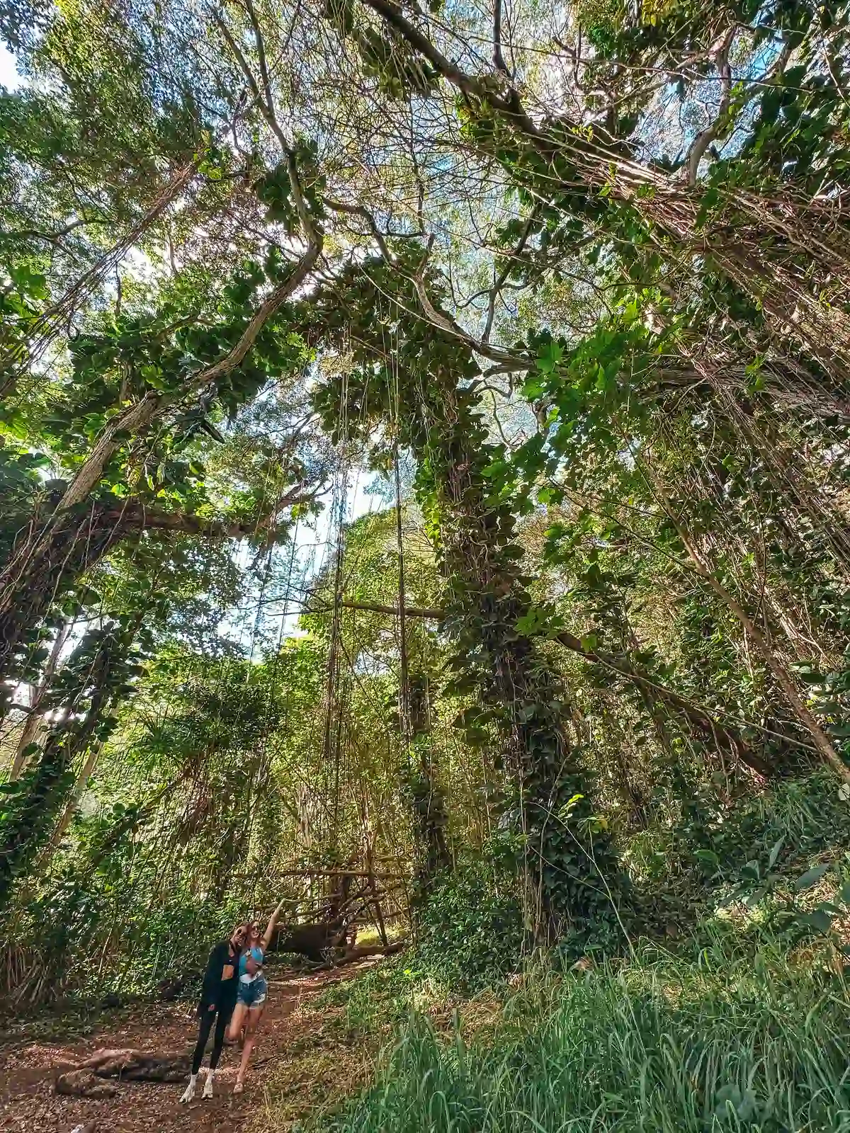 Friends hiking Ho‘opi‘i Falls Trail on Kauai