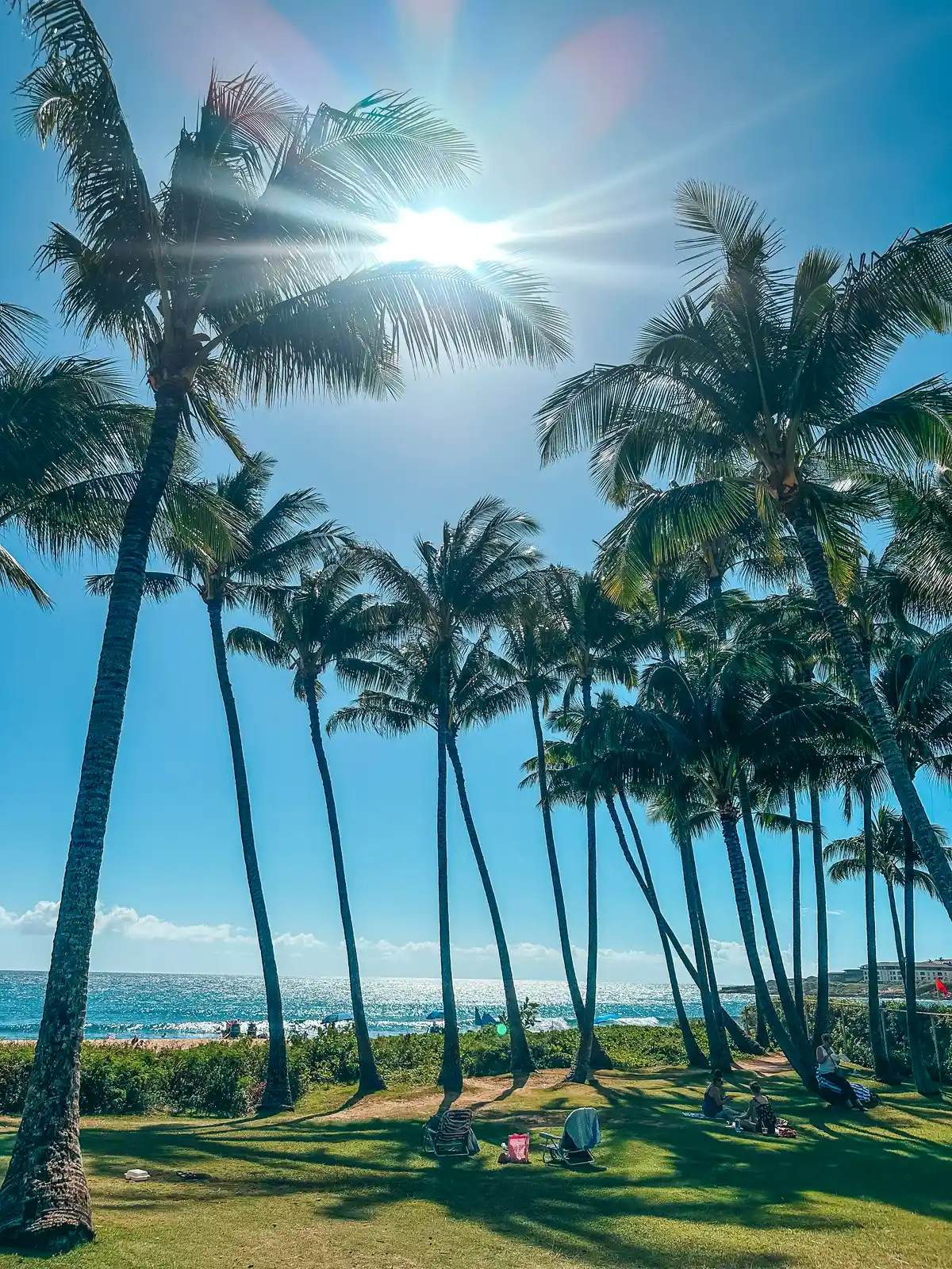 Palm trees at Shipwreck Beach on Kauai