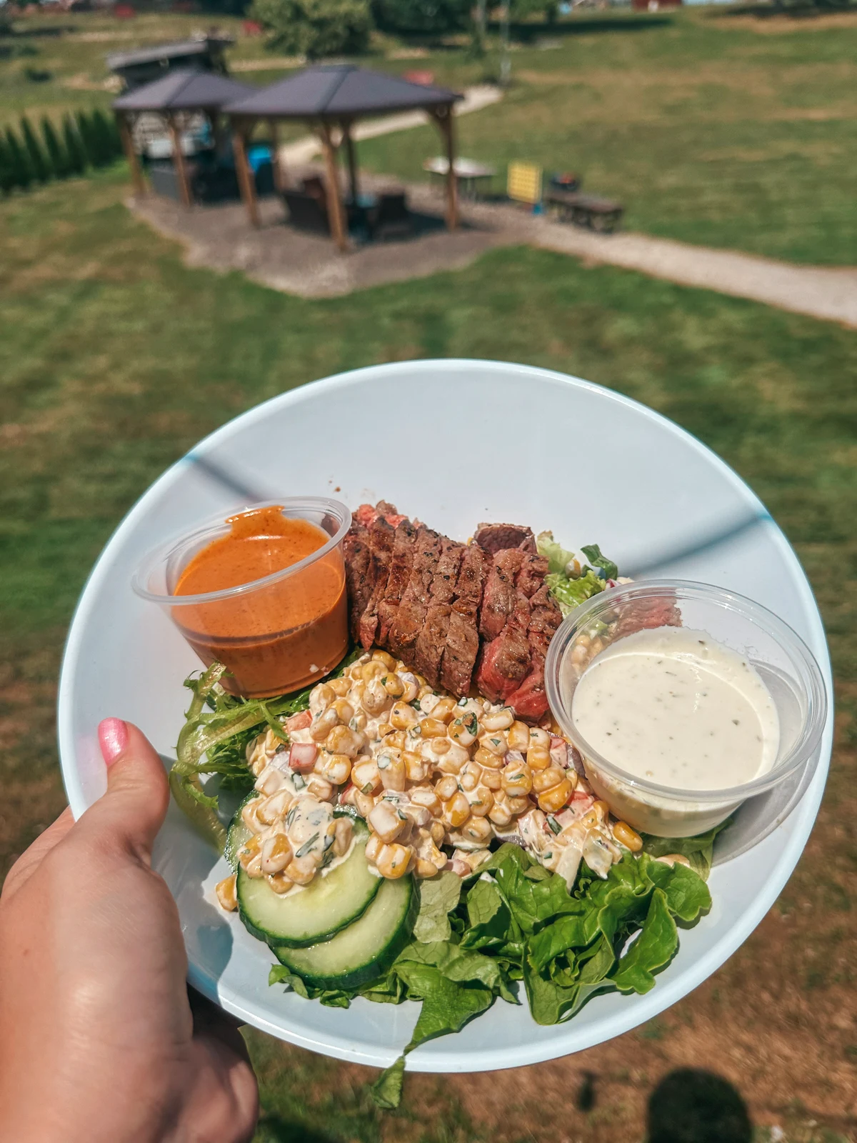 Steak salad from Maize Valley near Canton Ohio