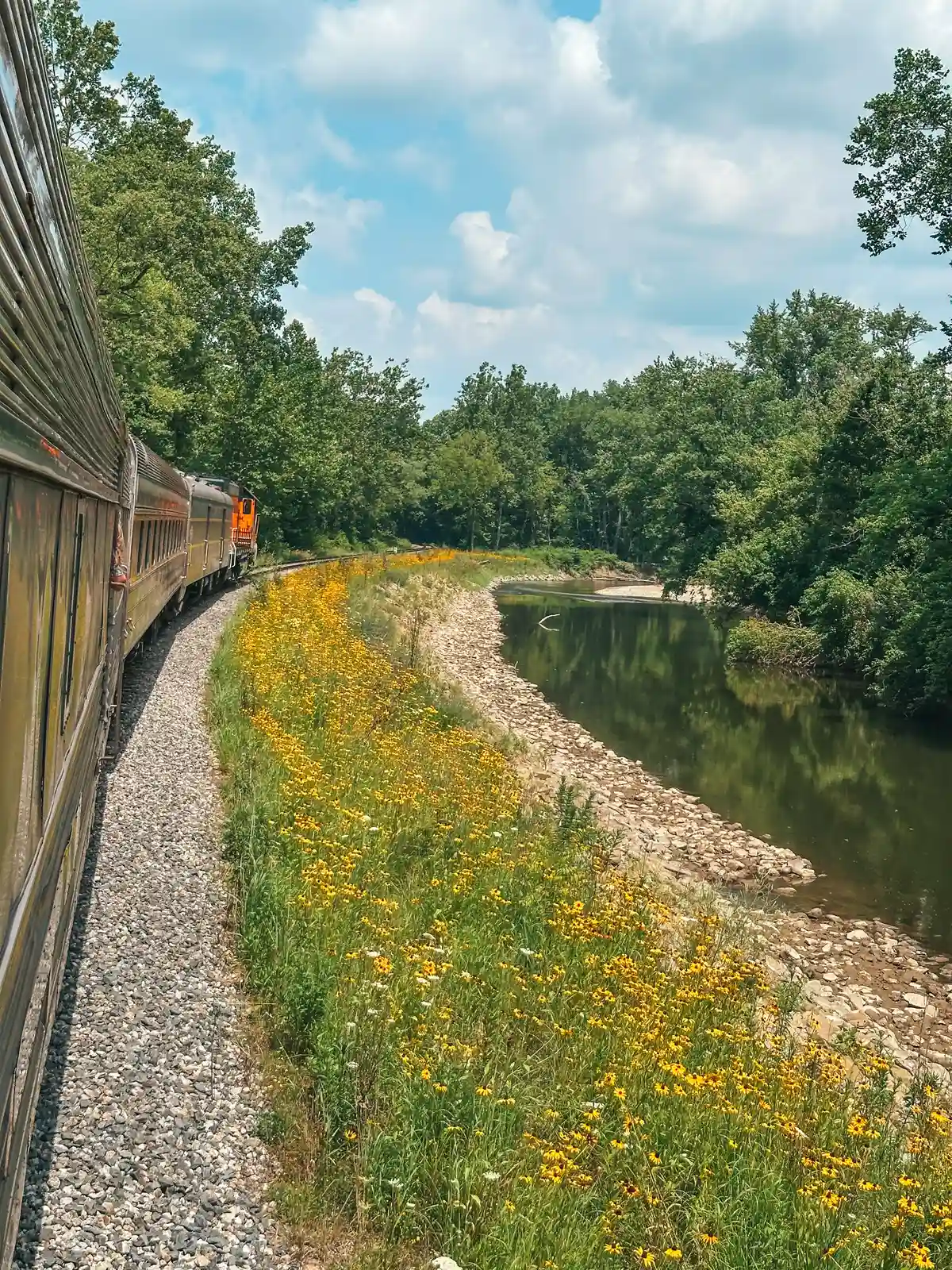 Summer views from the Cuyahoga Valley Scenic Railroad in Ohio