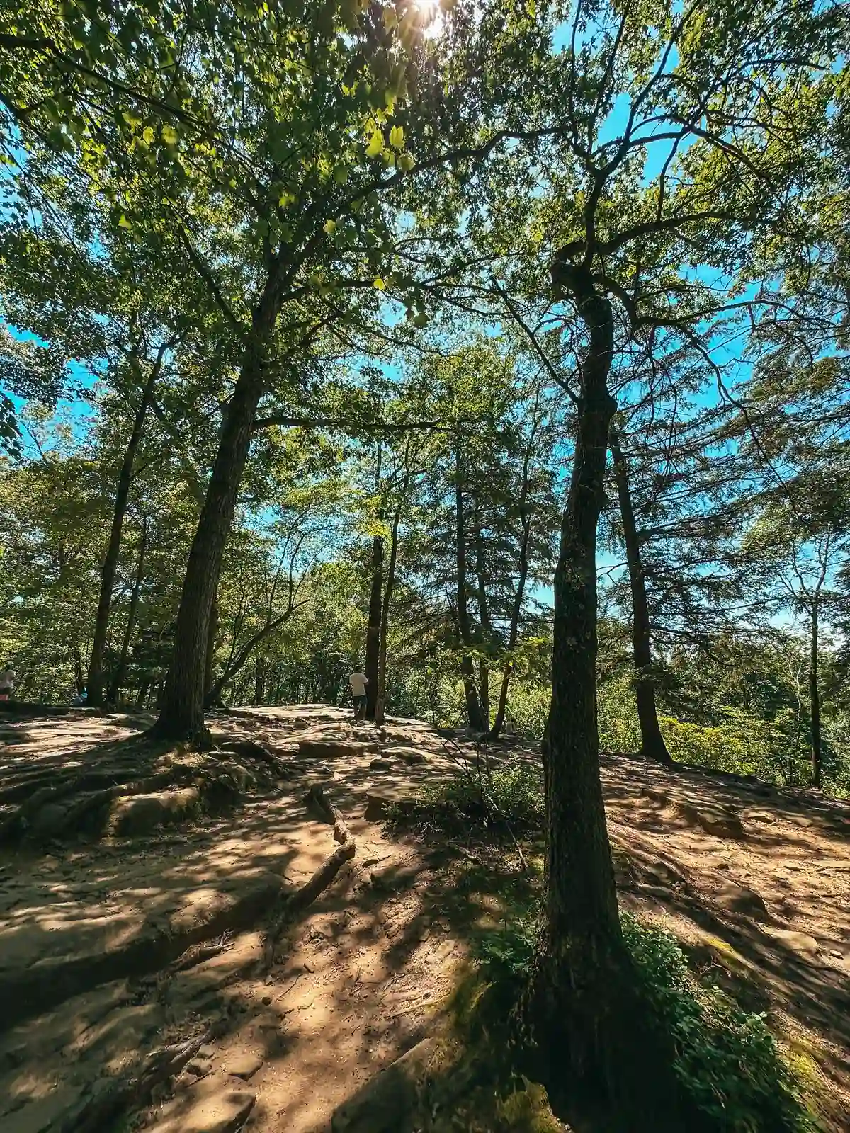 The Ledges Trail in Cuyahoga Valley National Park Ohio