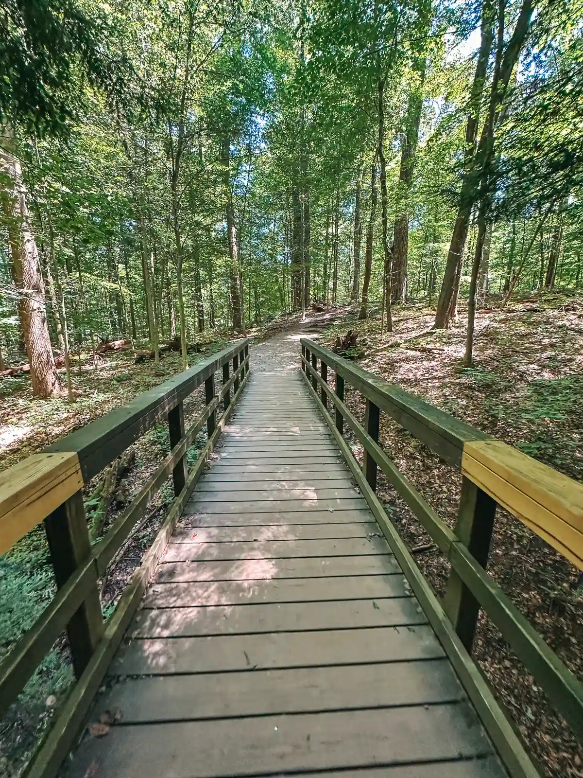 The Ledges Trail in Cuyahoga Valley National Park in Ohio