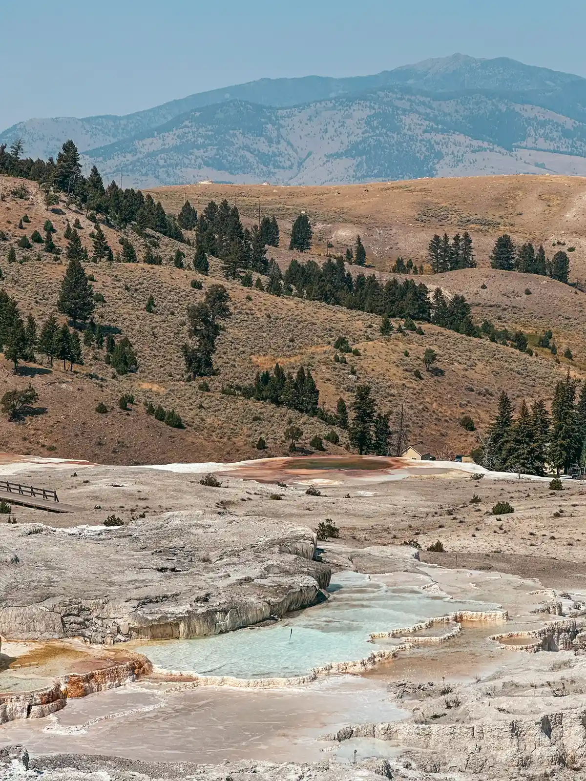 Boardwalk Views Of Mammoth Hot Springs In Yellowstone National Park