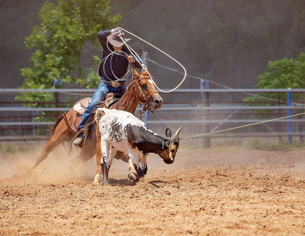 Jackson Hole Rodeo