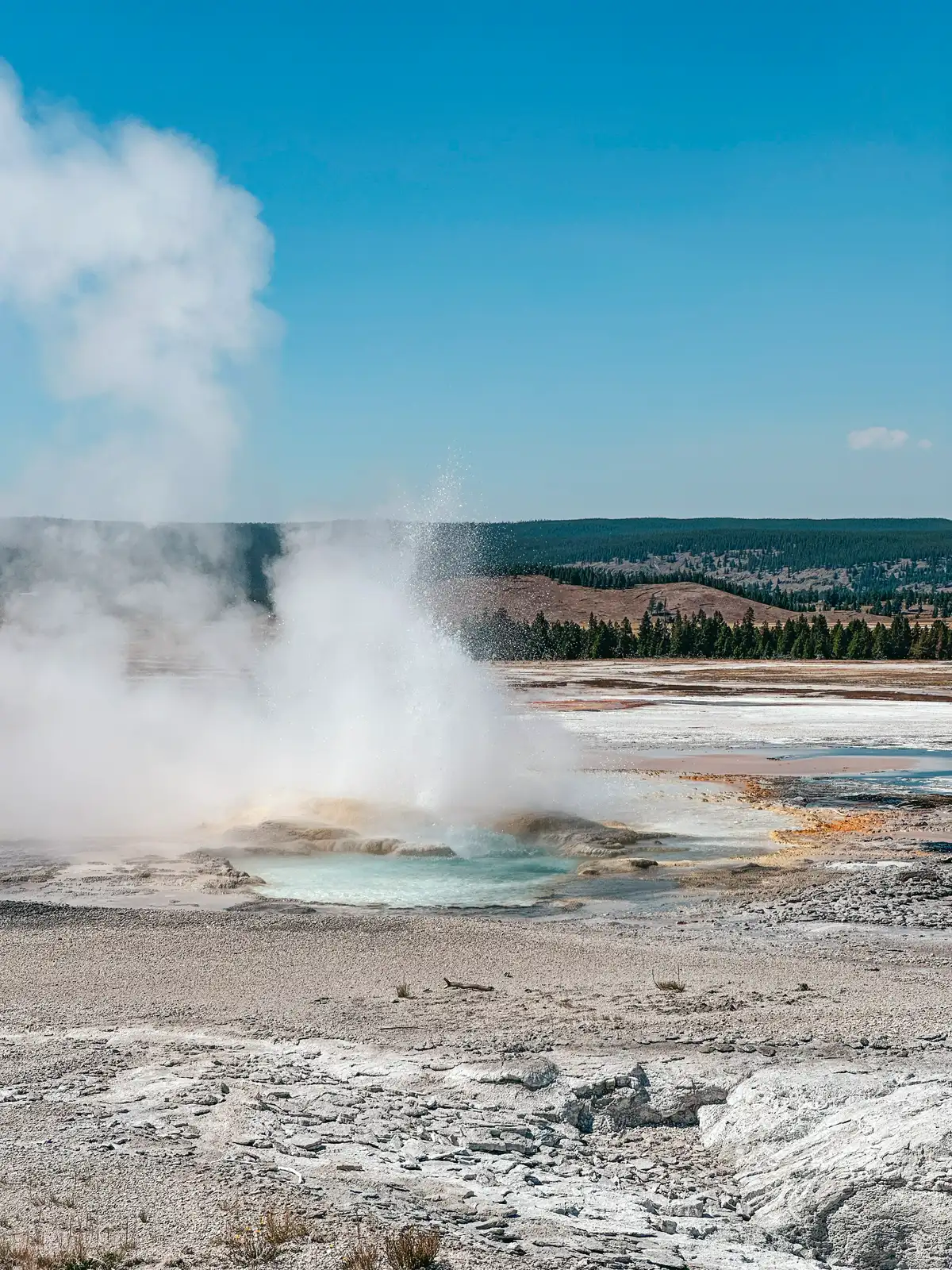 Spasm Geyser At Yellowstone National Park