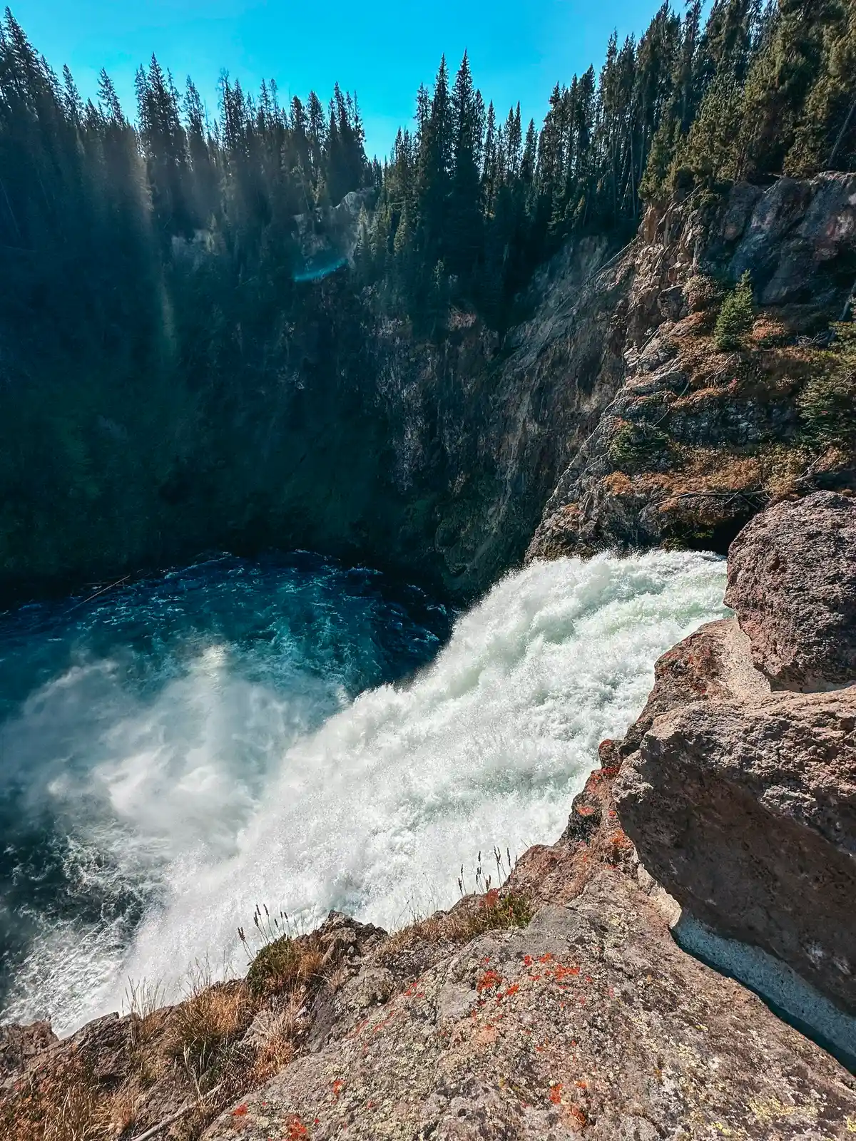 View from Brink Of The Lower Falls In Yellowstone National Park