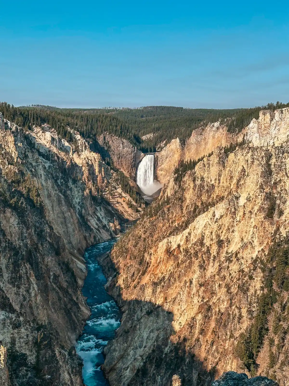 View Of Lower Falls Of The Yellowstone River From Artist Point