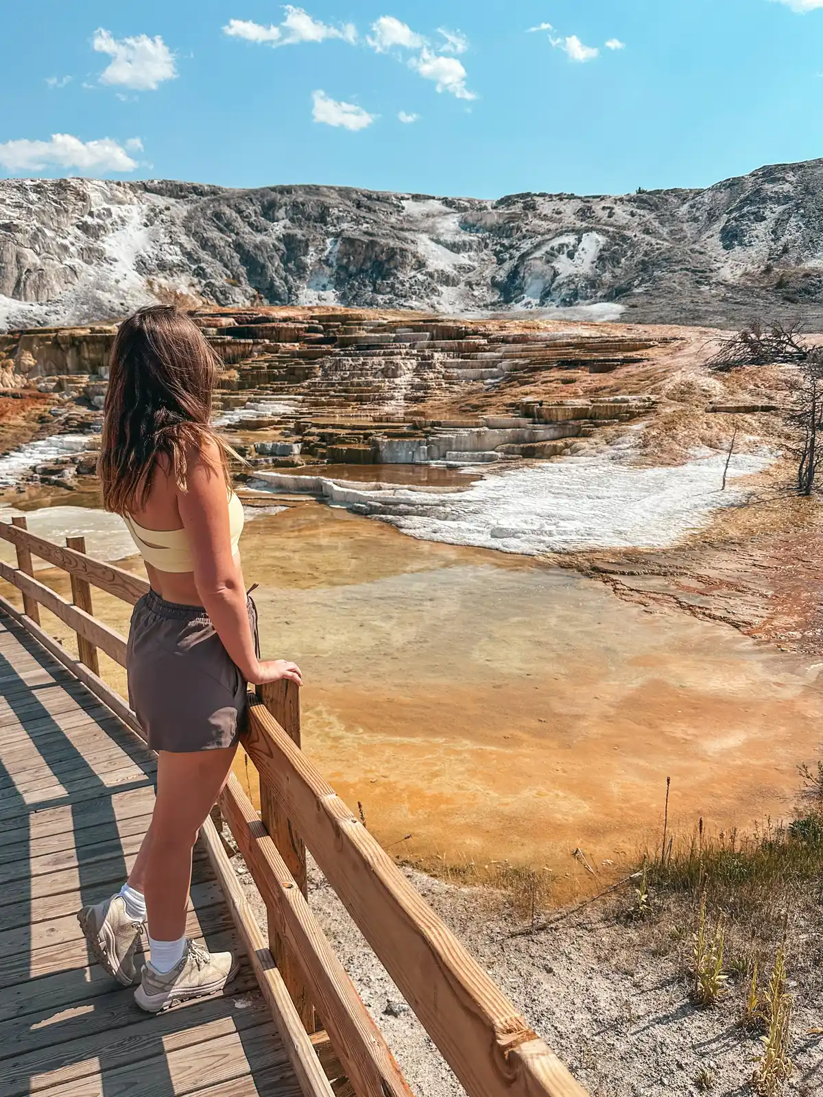 Woman Viewing Travertine Terraces At Mammoth Hot Springs In Yellowstone National Park