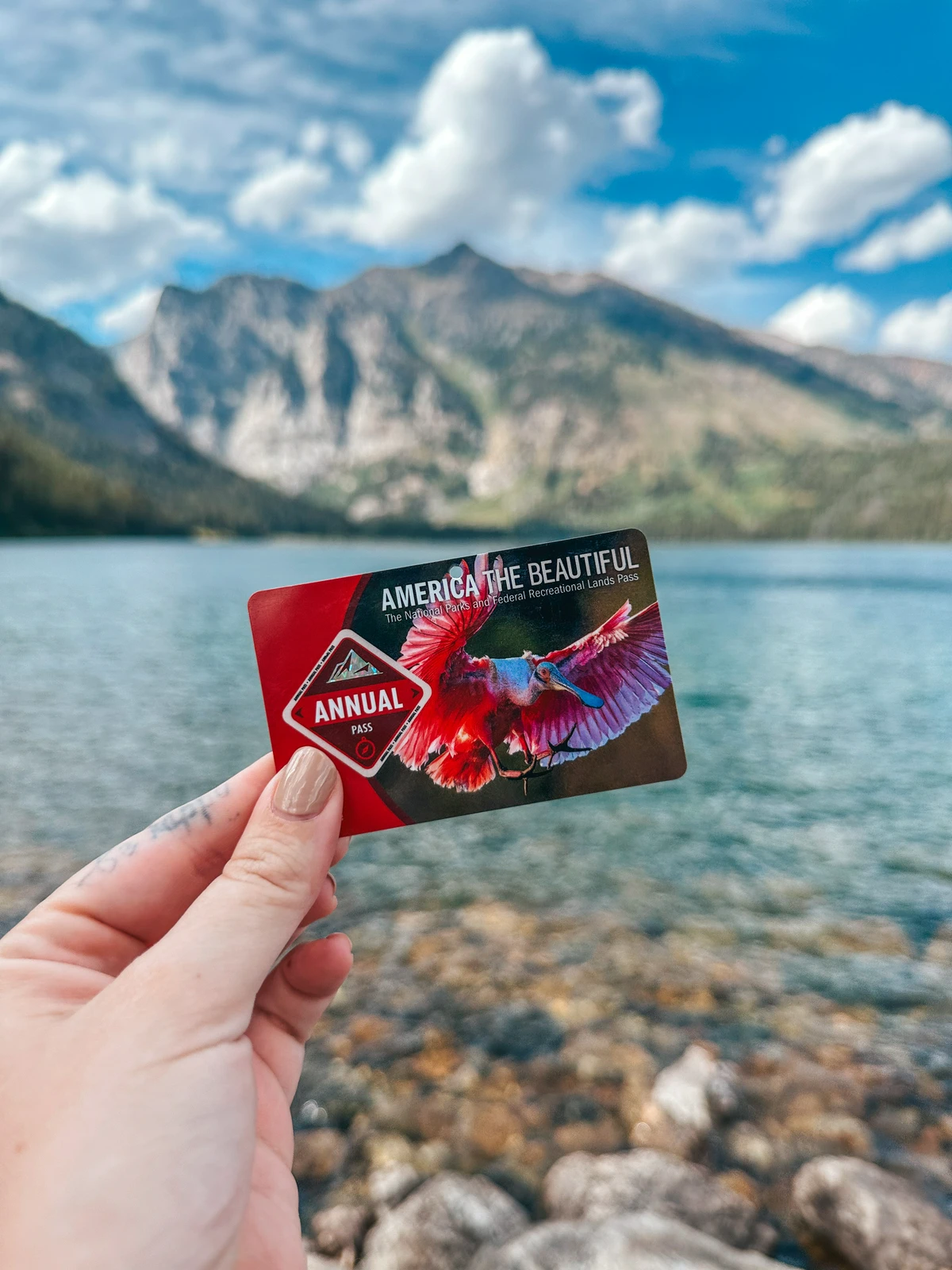 America The Beautiful Pass Being Held Up With Mountains In The Background At Grand Teton National Park