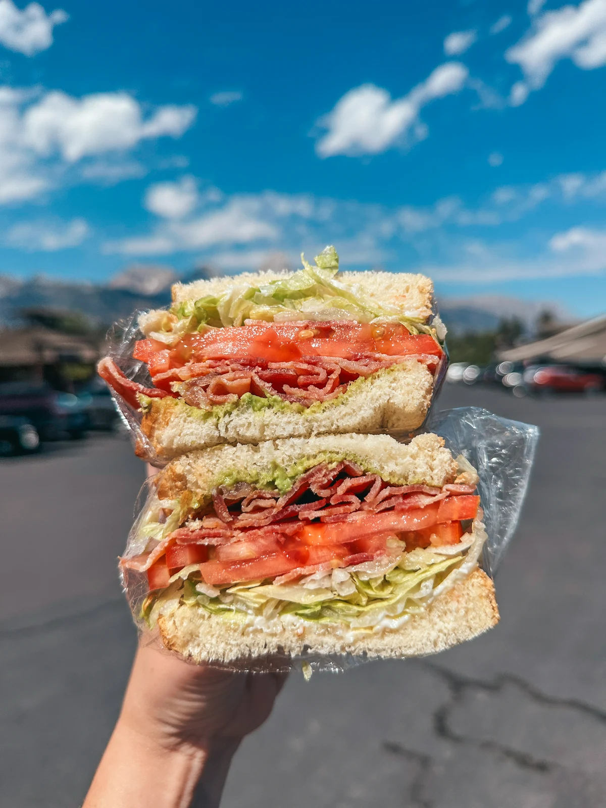 BLTA From Dornans Deli In Grand Teton National Park