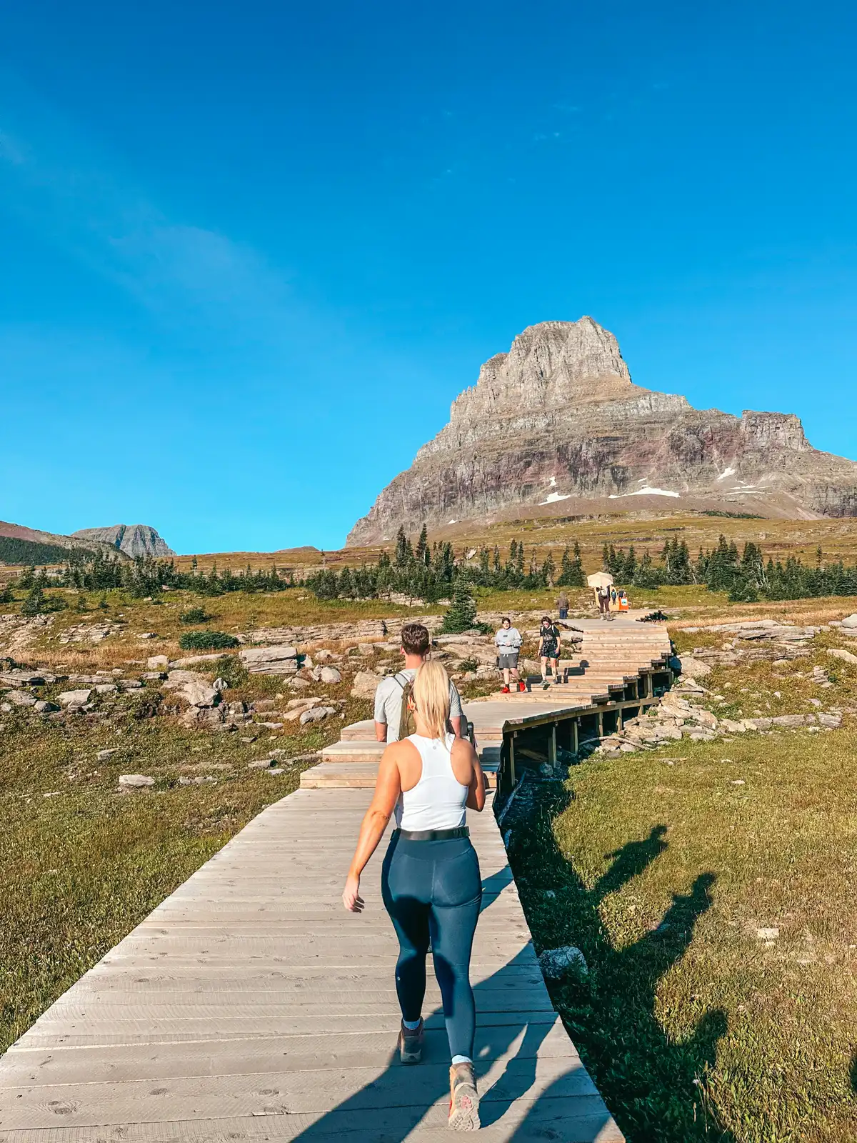 Boardwalk Part Of Hidden Lake Trail In Glacier National Park