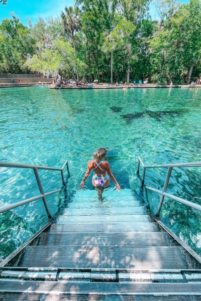 Great Day Trips From Clearwater Beach Florida