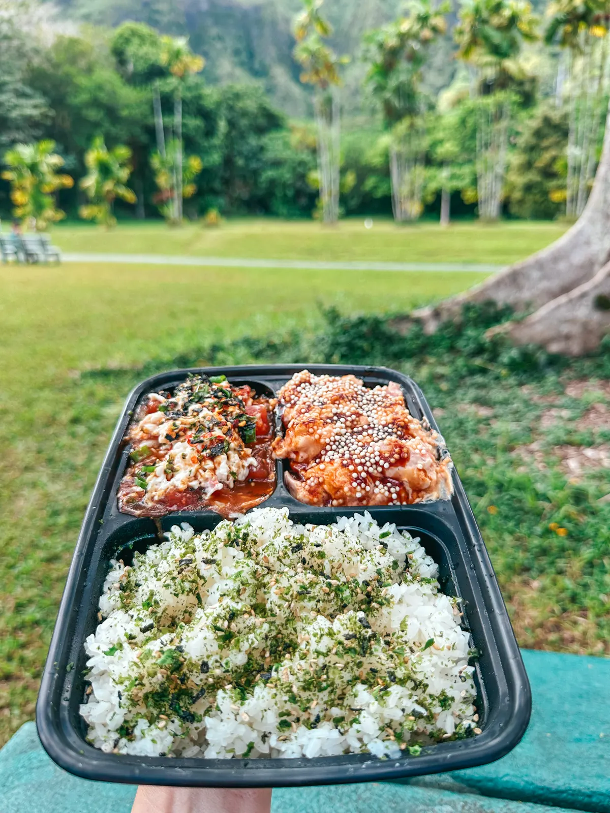 K.Bay Bros Poke At Ho‘omaluhia Botanical Gardens In Kaneohe Hawaii