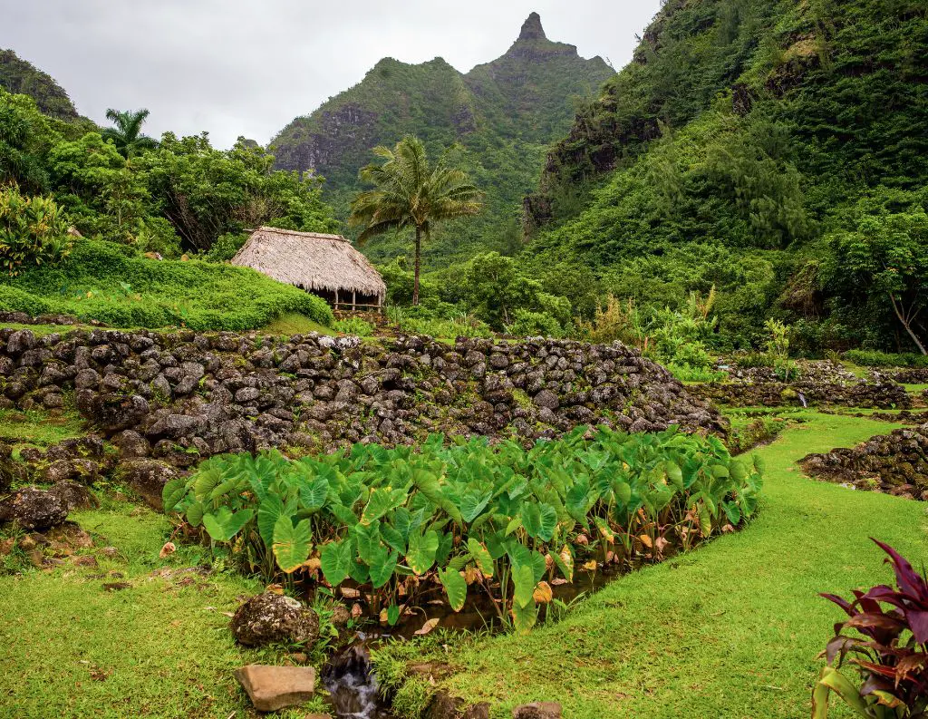 Limahuli Garden On Kauais North Shore