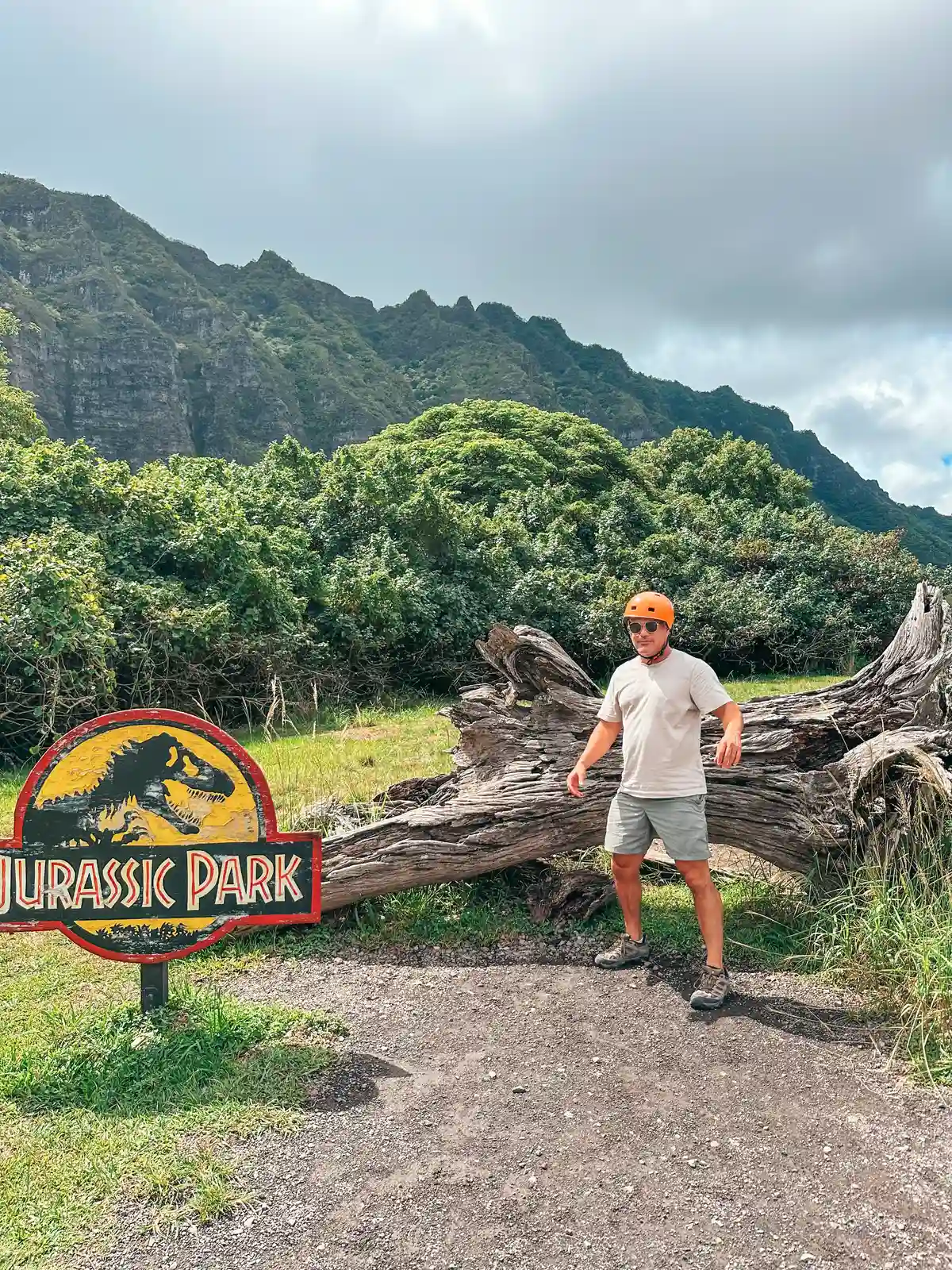 Man Posing In Front Of Jurassic Park Tree Root At Kualoa Ranch In Kaneohe