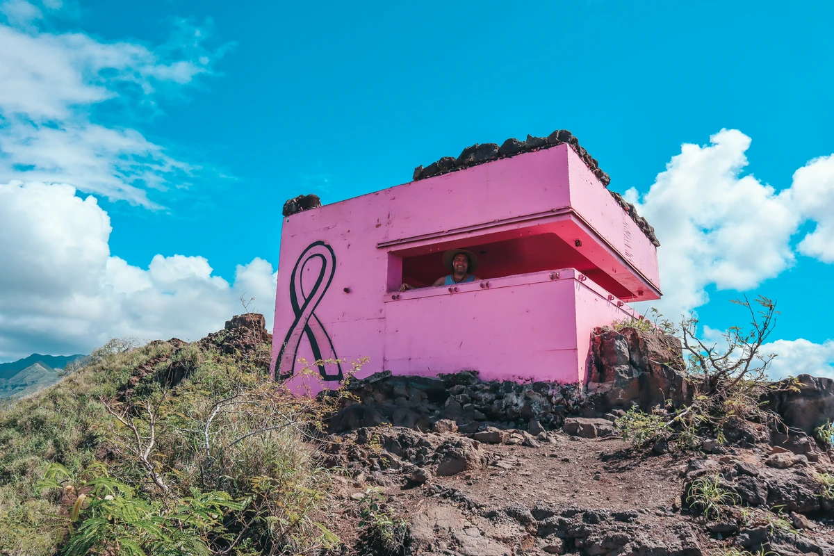 Pink Pillbox On The West Side Of Oahu