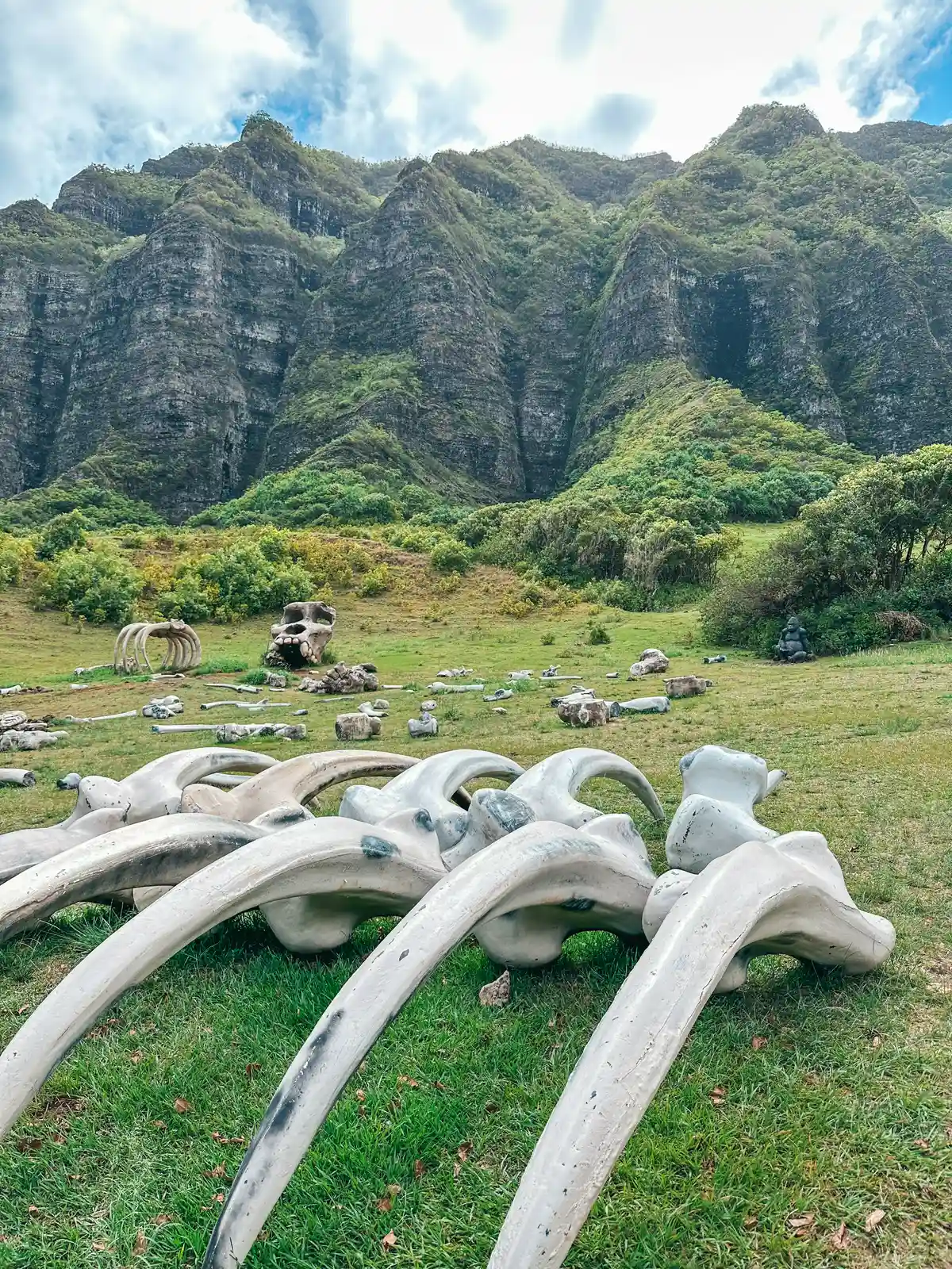 Props From Kong Skull Island At Kualoa Ranch In Kaneohe