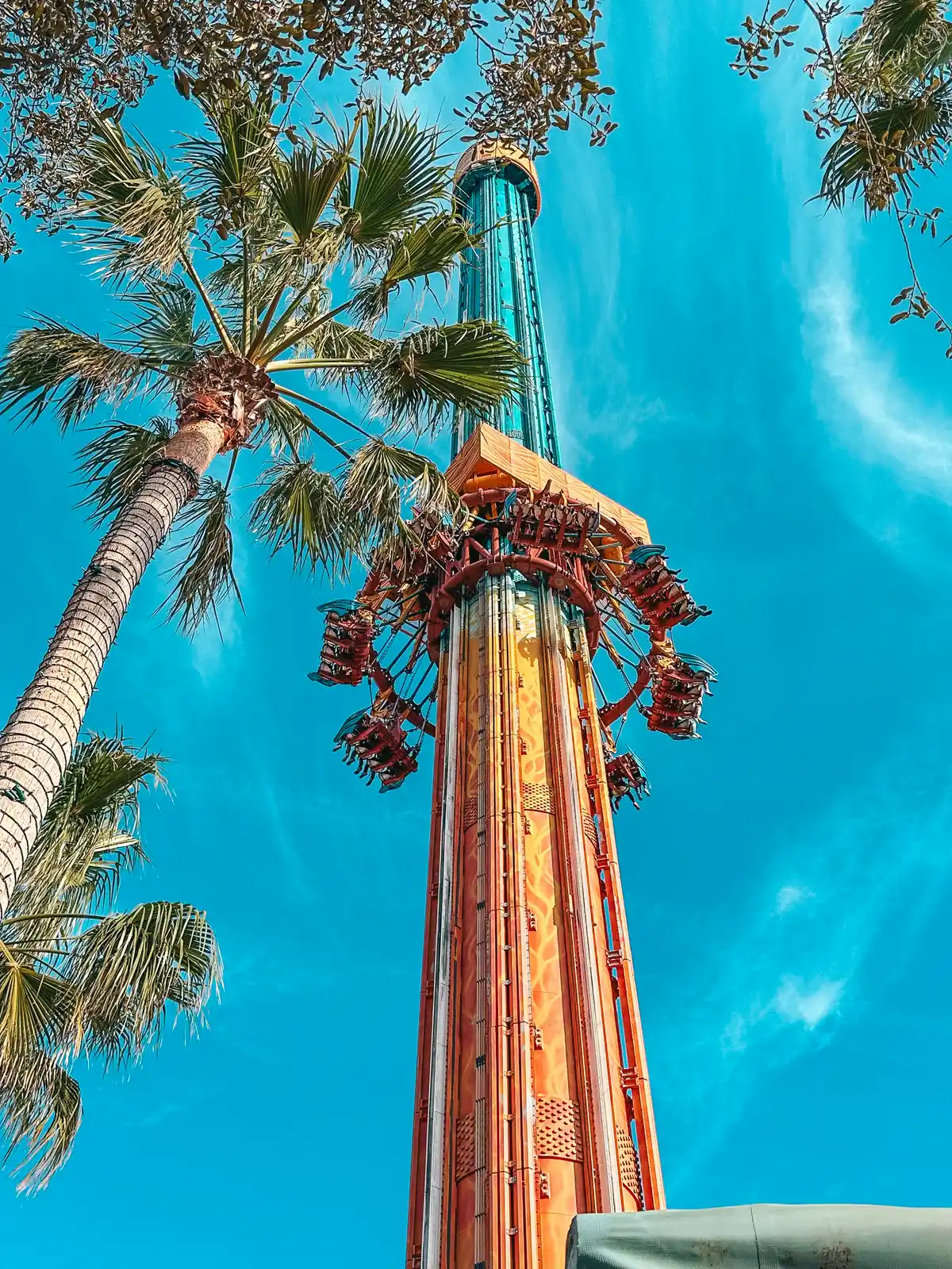 Ride At Busch Gardens In Tampa
