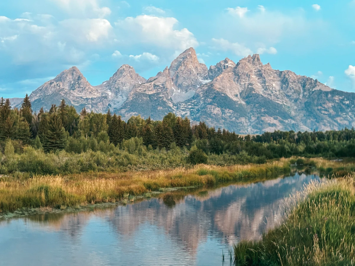 Schwabacher Landing In Grand Teton National Park At Sunrise