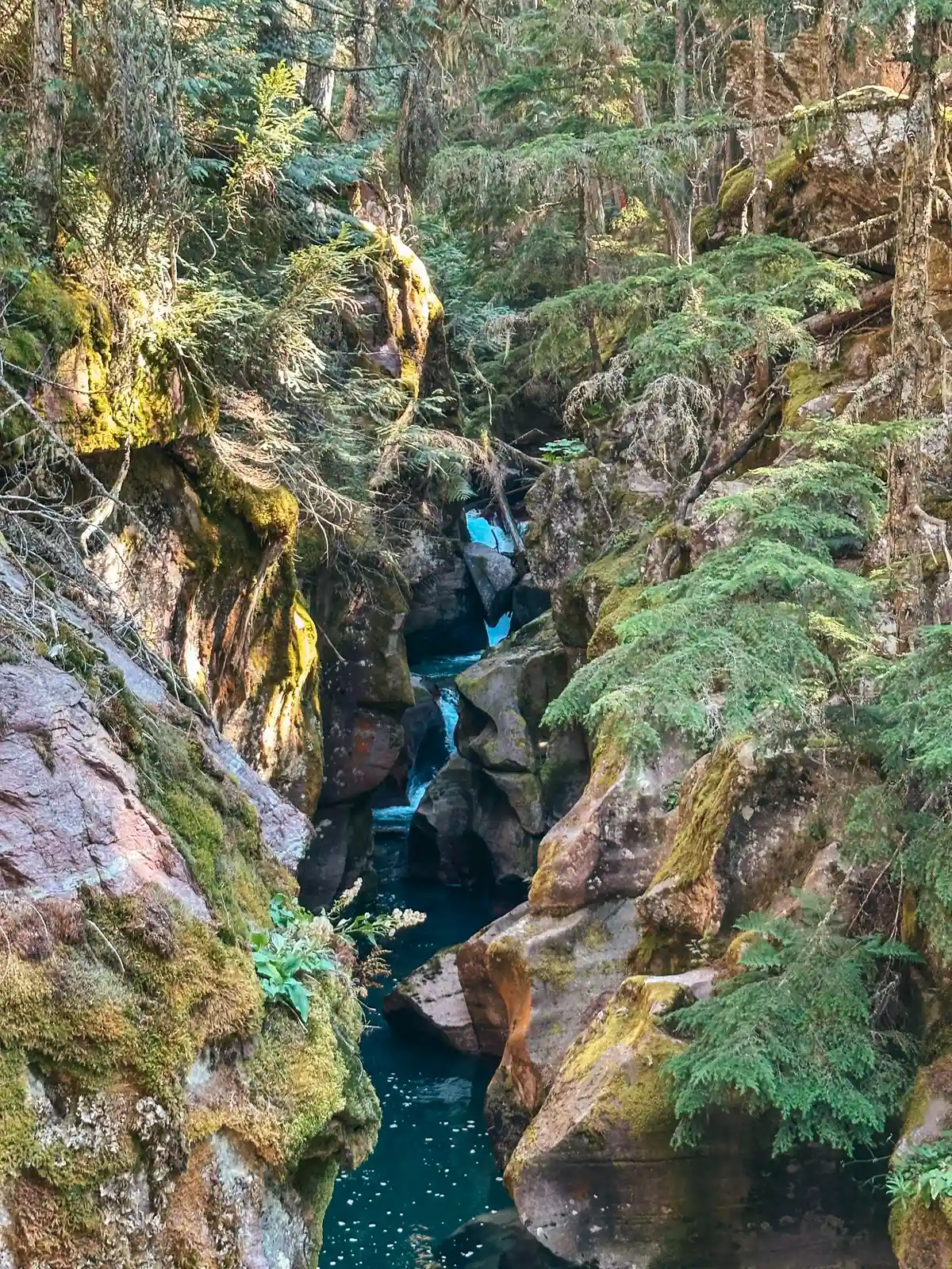 Small Waterfall Along Trail Of The Cedars In Glacier National Park