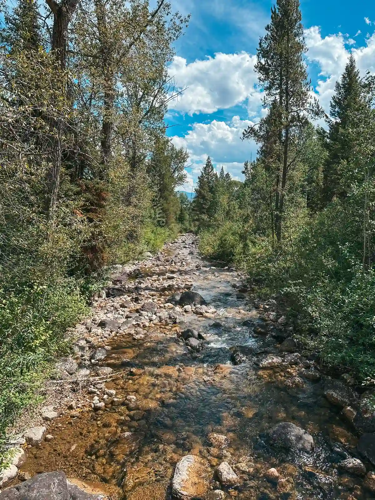 Stream On The Phelps Lake Trail In Grand Teton National Park