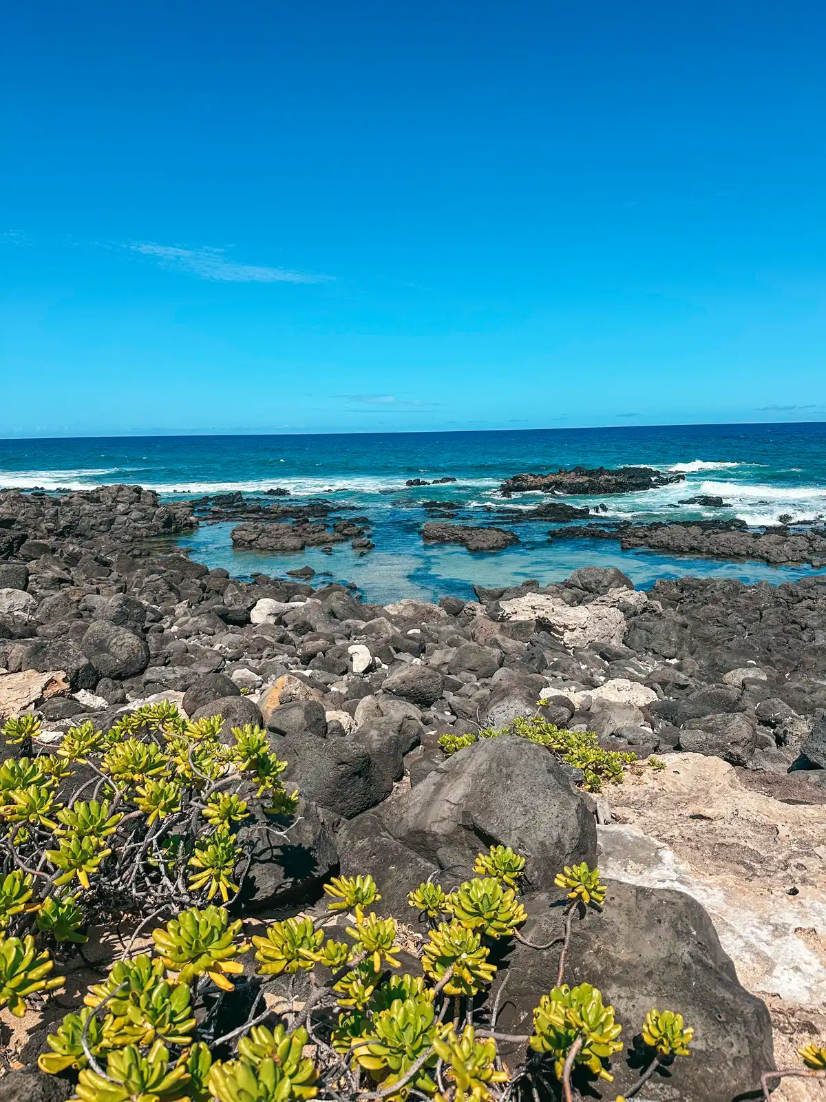 Tide Pools At The End Of Kaena Point Trail On Oahu