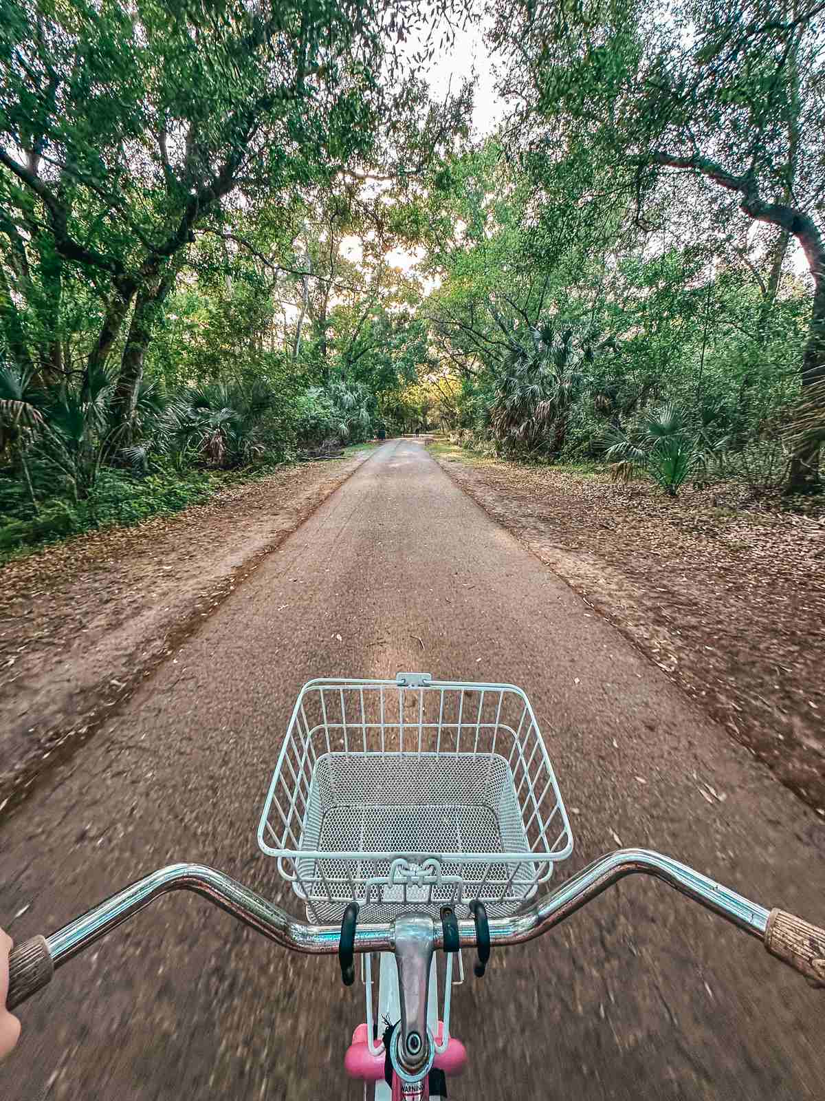 Al Lopez Park Bike Trail In Tampa