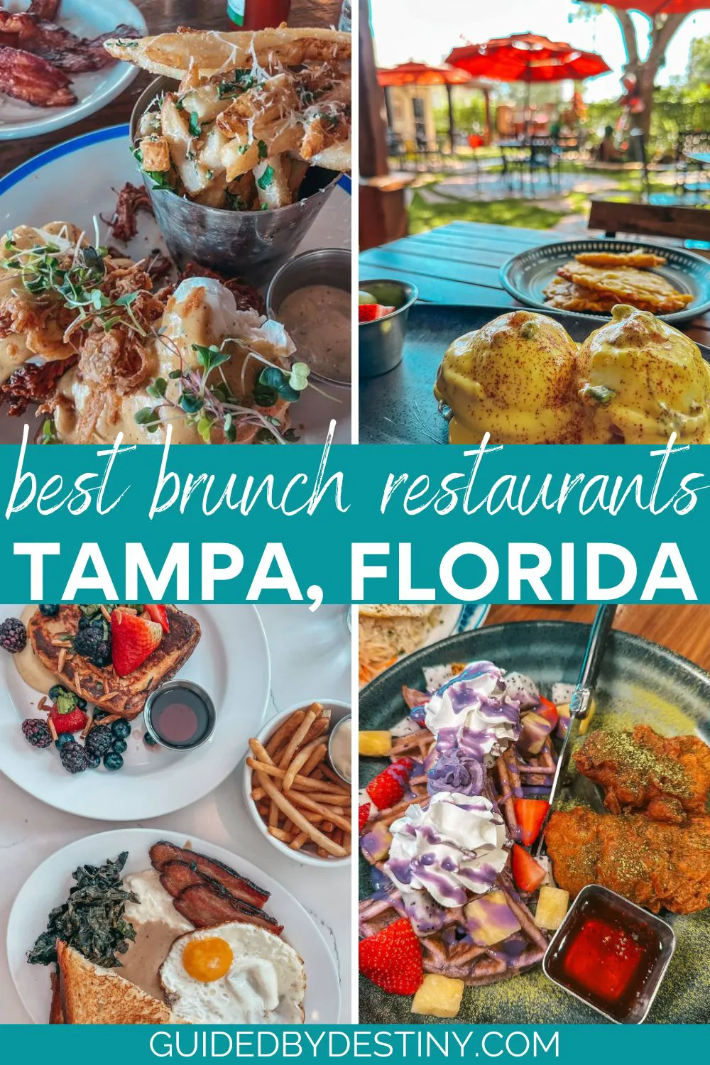Best Brunch Restaurants In Tampa Florida