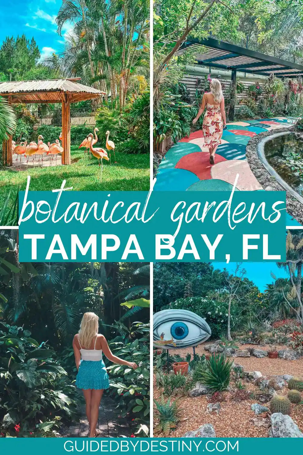 Botanical Gardens In Tampa Bay Fl