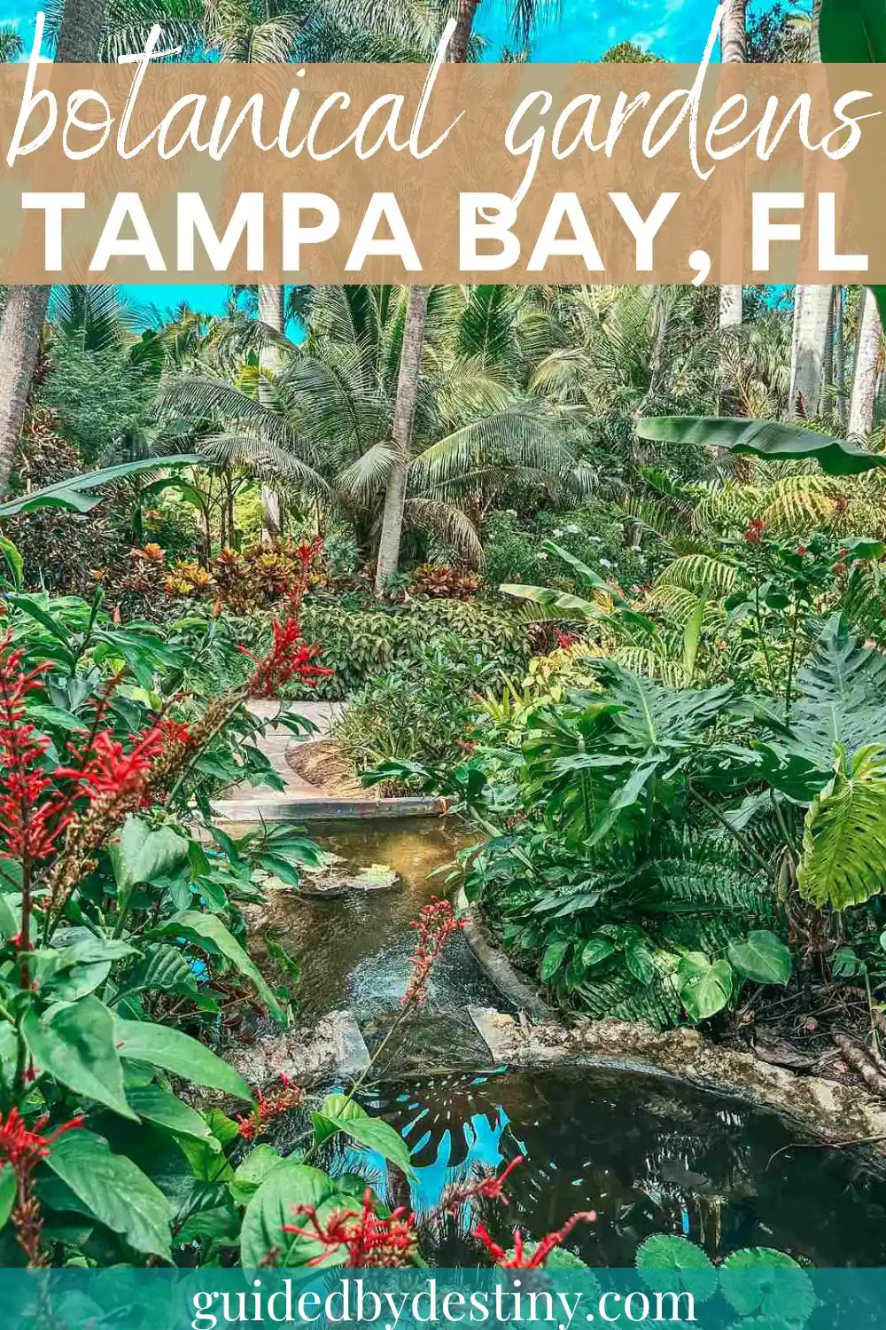 Botanical Gardens In Tampa Bay Florida