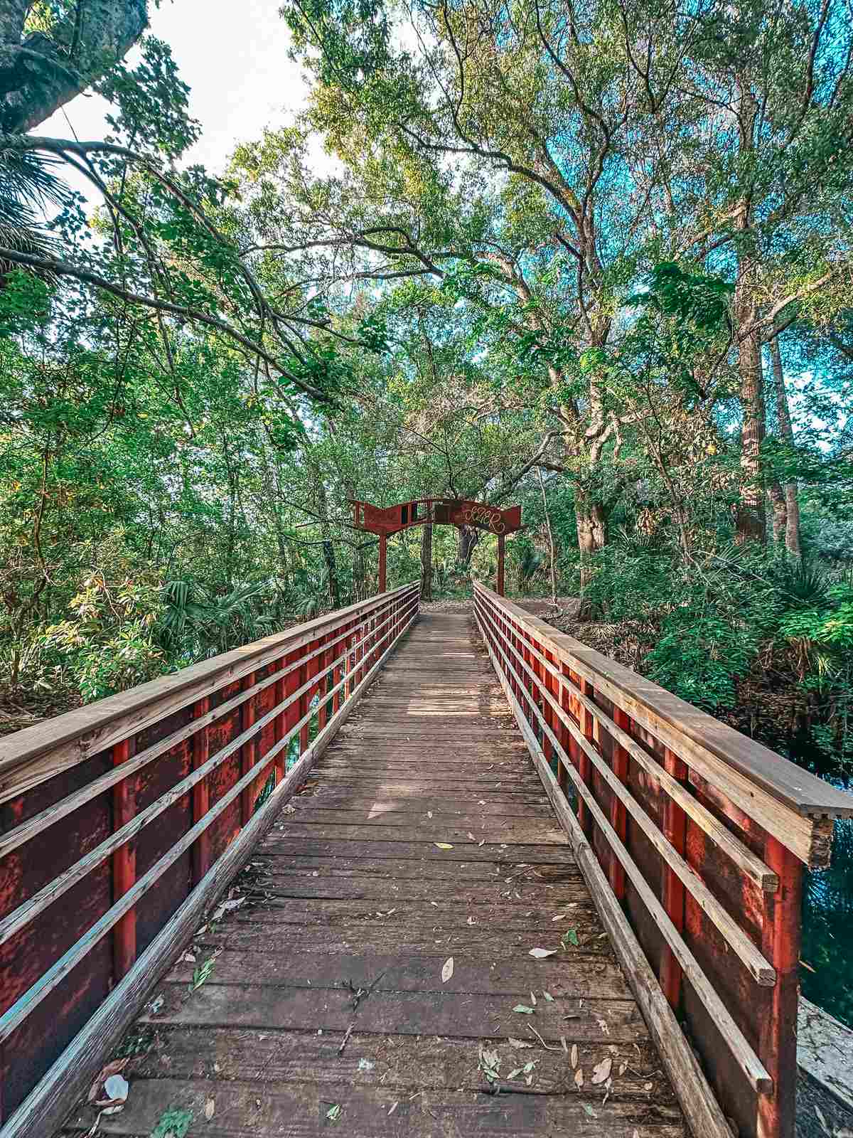 Bridge In Al Lopez Park Hiking Trail In Tampa