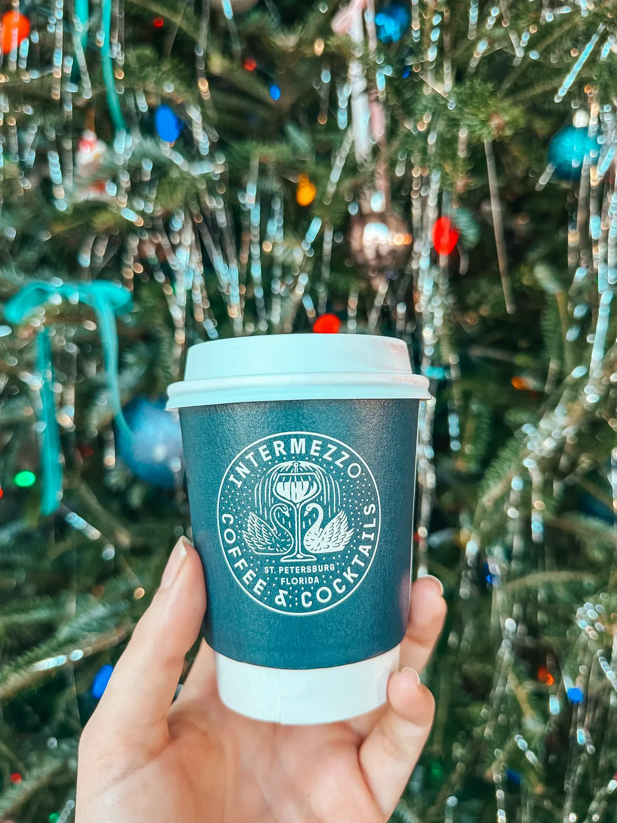 Cappuccino From Intermezzo Coffee In St Pete