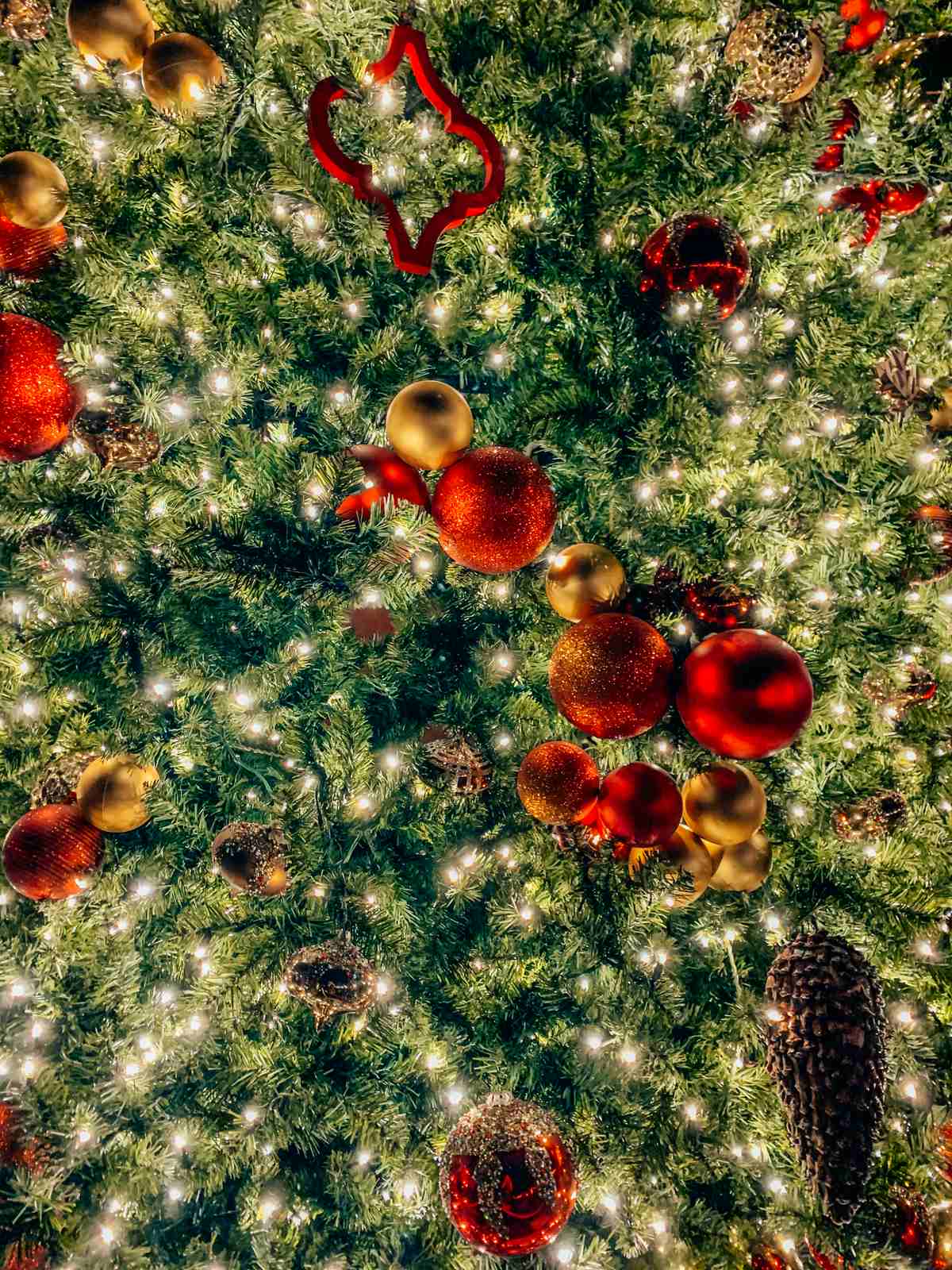 Christmas Tree Lighting In Tampa Armature Works