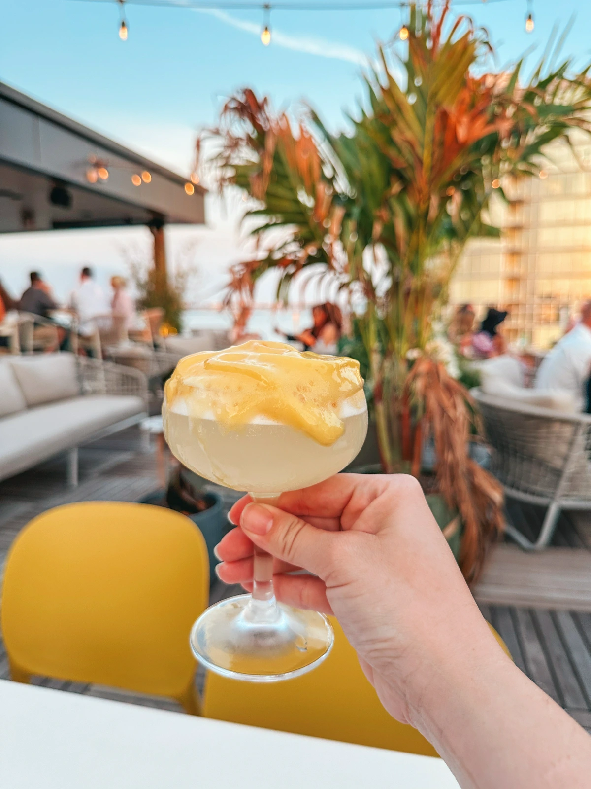 Cocktail From Maru Rooftop Bar In Tampa Florida