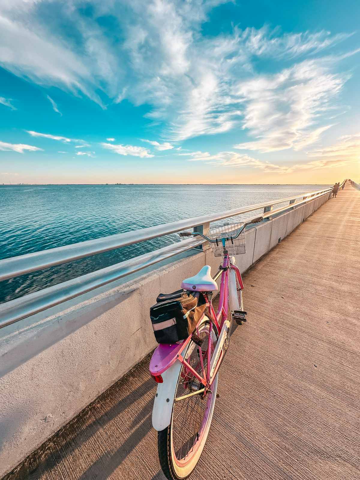 Courtney Campbell Causeway Bike Trail In Tampa At Sunset