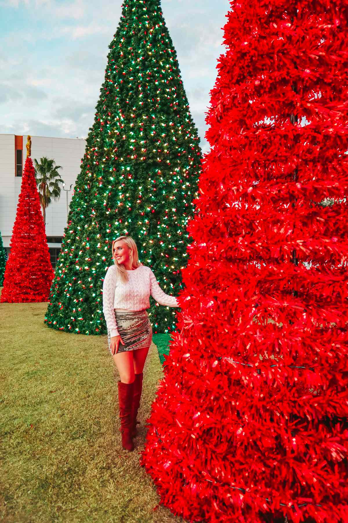 Downtown Tampa Christmas Decor
