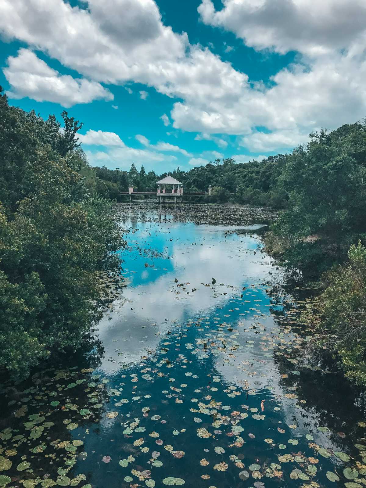 Florida Botanical Gardens In Largo Florida
