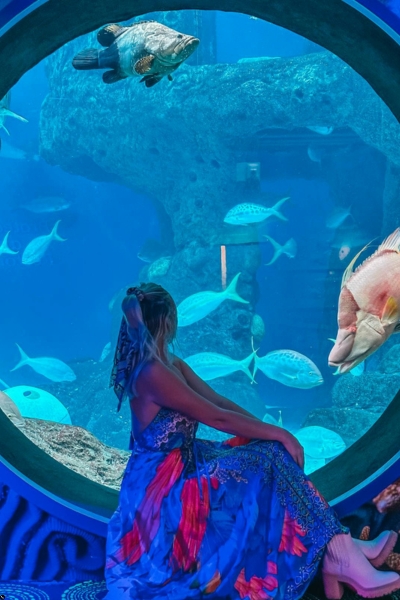 Fun Things To Do In Tampa With Kids