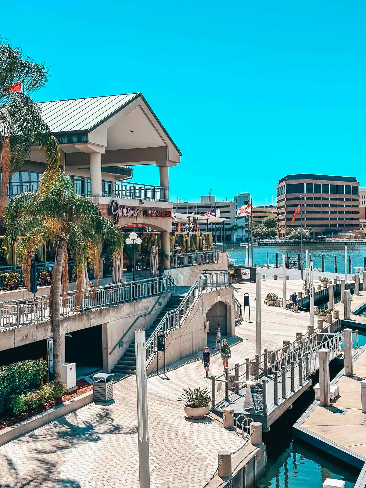 Jacksons Bistro Tampa Restaurant On The Water