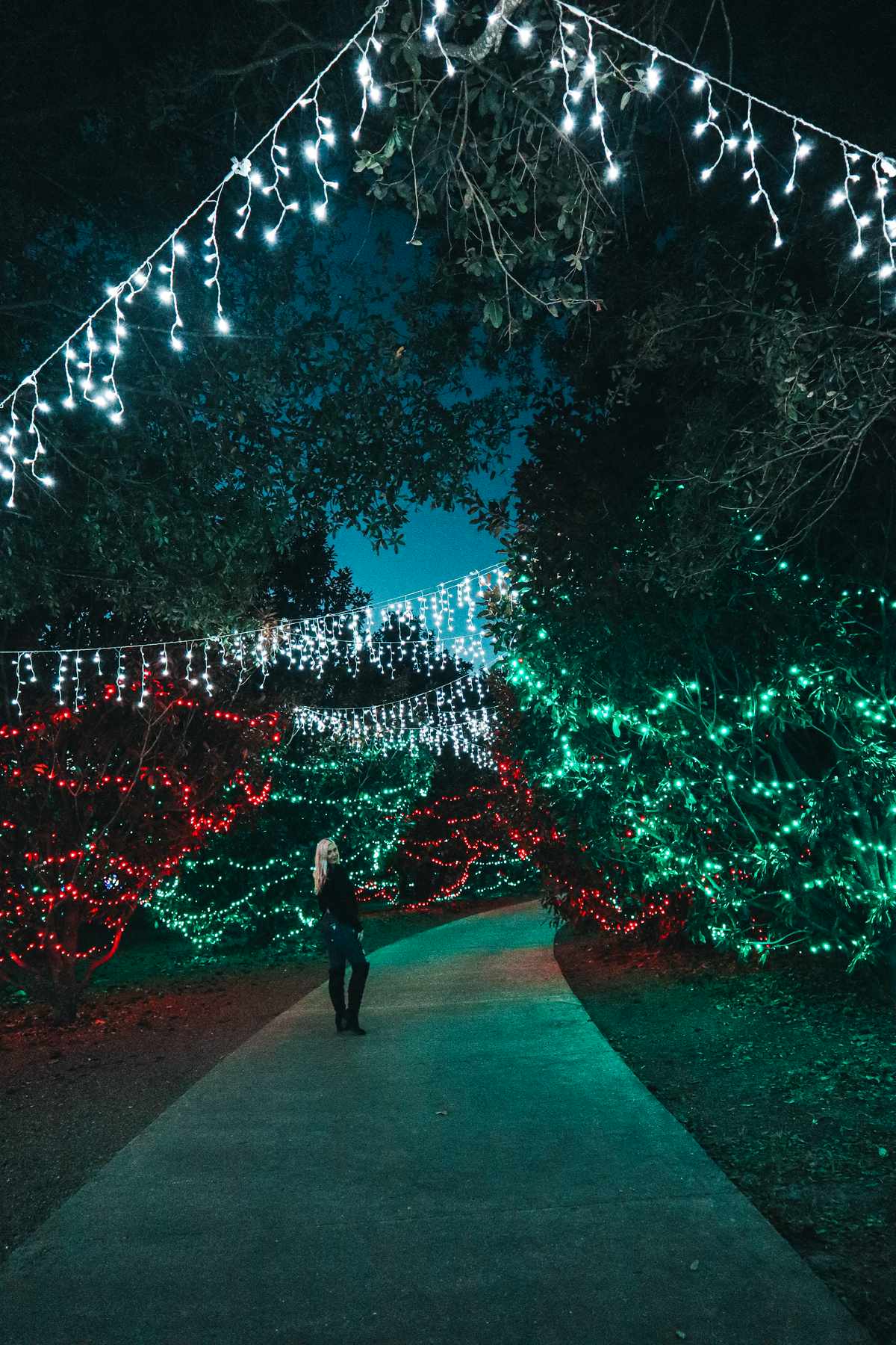 Largo Christmas Lights