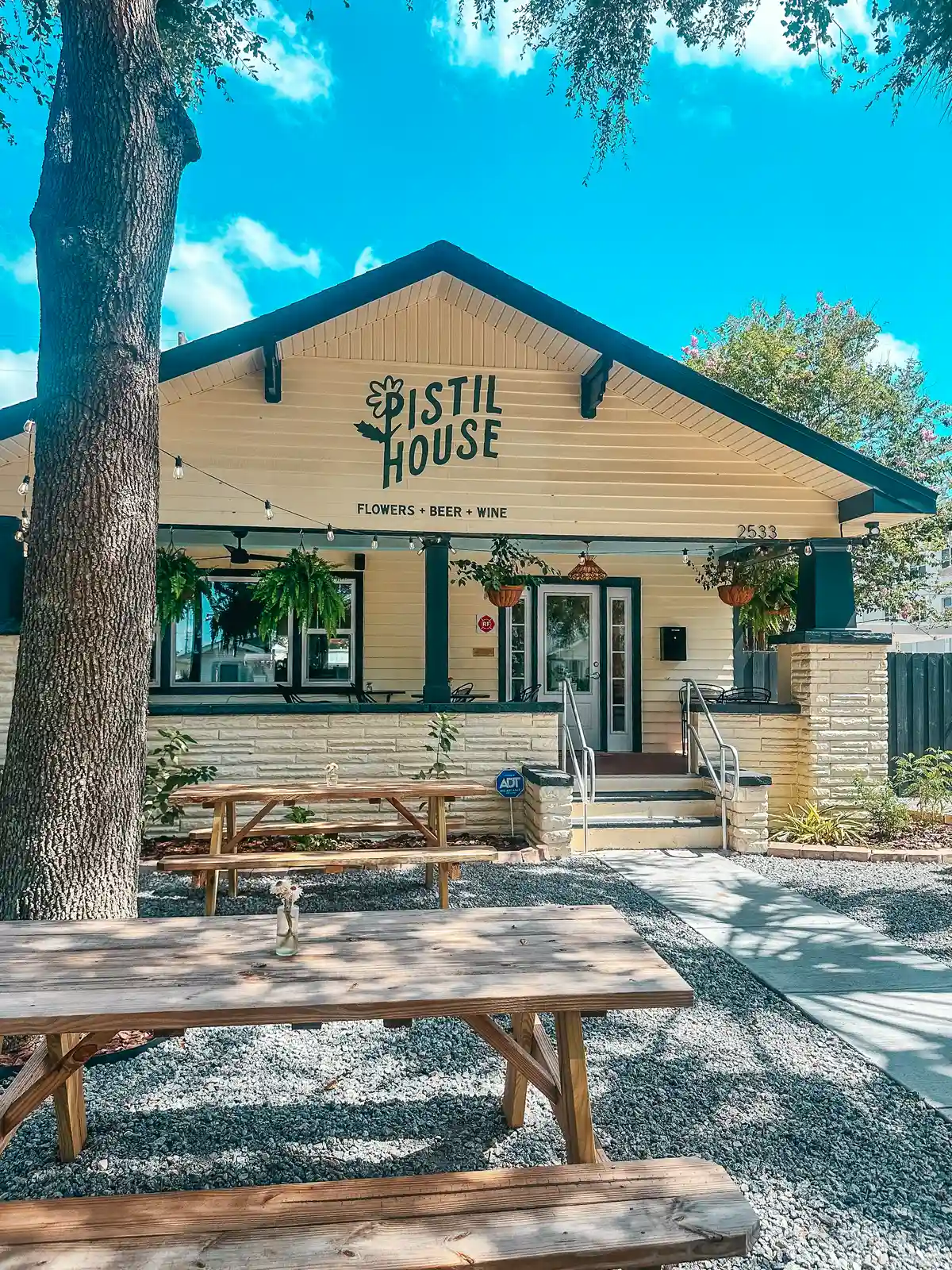 Pistil House Coffee Shop In St Pete