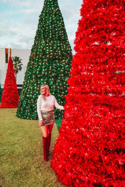 Places To See Christmas Lights In Tampa