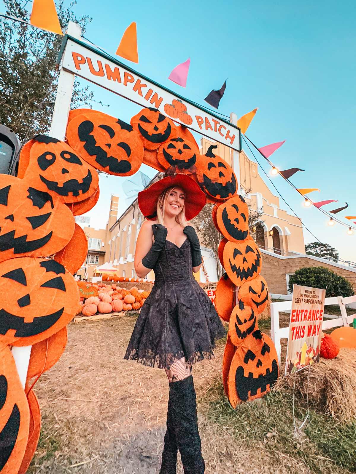 Pumpkin Patch In Seminole Heights Tampa