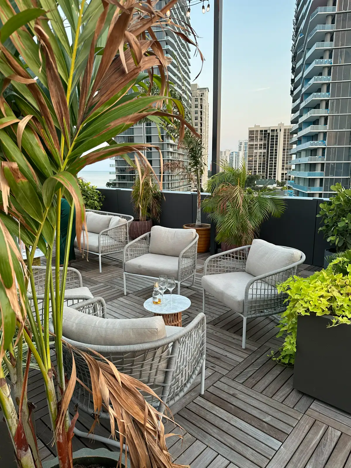 Rooftop Bar In Tampa Maru