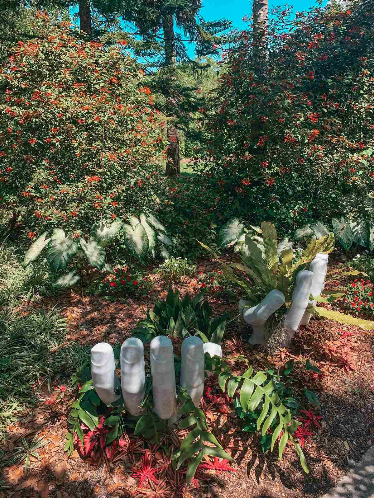 Stunning Marie Selby Botanical Gardens In Sarasota