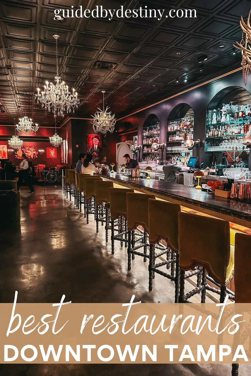 The Best Restaurants Downtown Tampa Florida