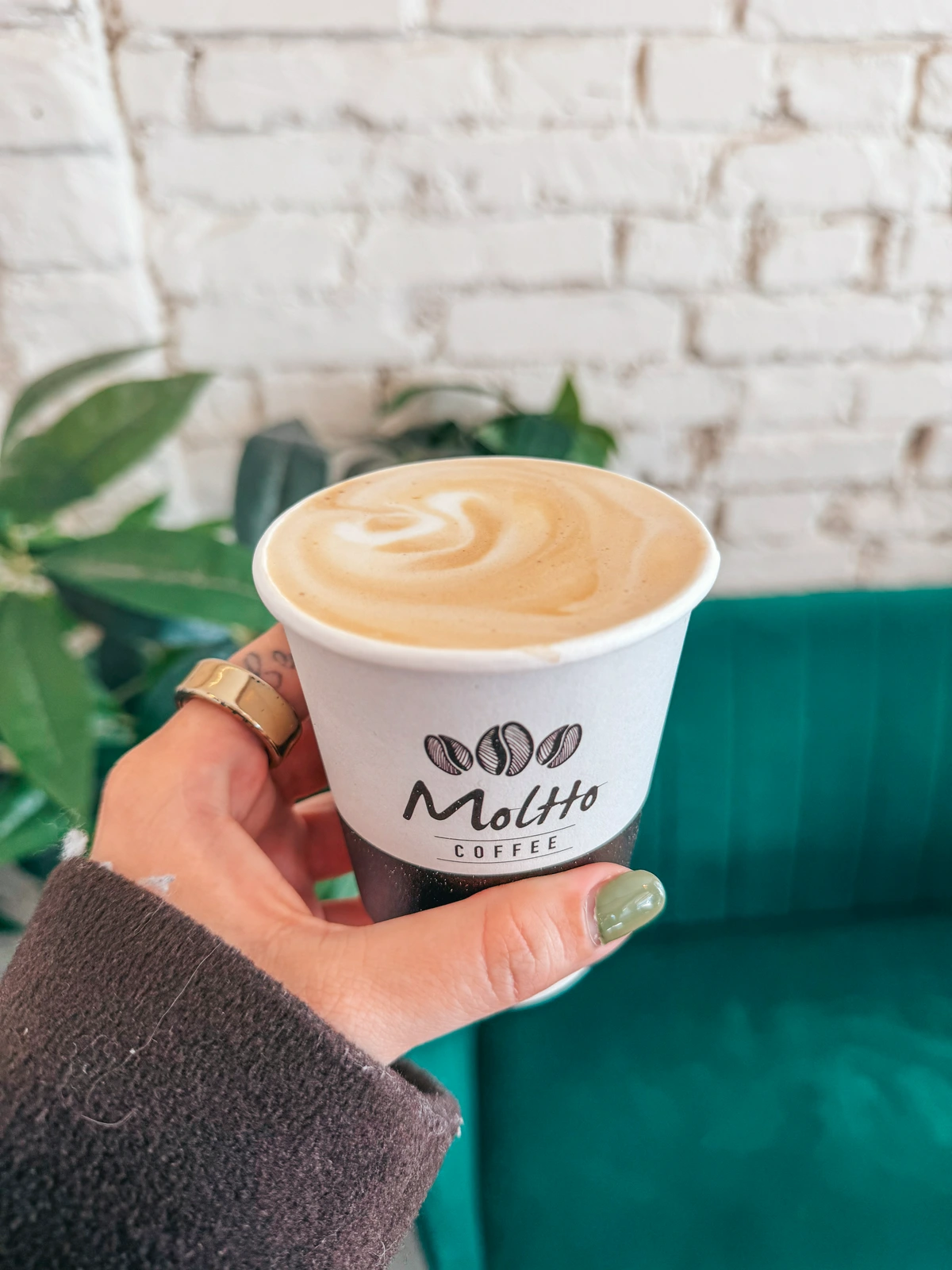 Moltto Coffee 3